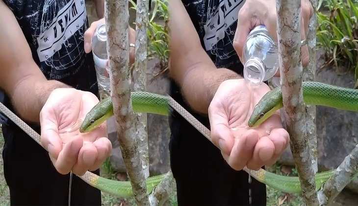 Snake Video: हाथ में पानी लेकर शख्स ने सांप को पिलाया तो लोग बोले-'इसे आप न आजमाएं', देखिए वीडियो