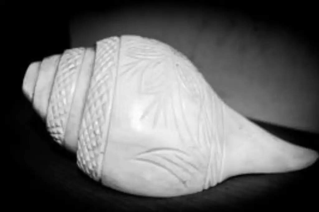 Aghan mahina aur shankh: इस महीने में अगर इन तरीकों से करेंगे शंख की पूजा, तो जरूर बरसेगी बांके बिहारी की कृपा