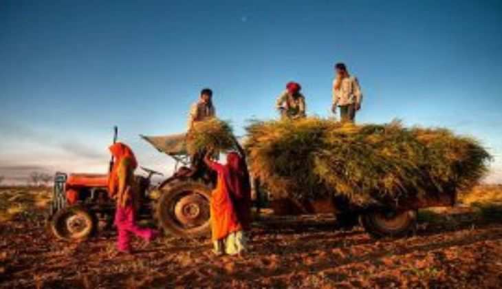 खुशखबरी: किसानों से अब हरा चारा खरीदेगी सरकार, लाखों रुपए की होगी कमाई, तुरन्त पढ़ें पूरी जानकारी