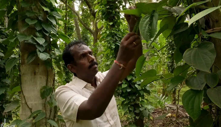 कावेरी कॉलिंग