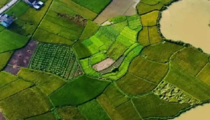 गंगा संरक्षण की नई पहल: आईआईटी कानपुर ने कोरोना सैटेलाइट तस्वीरों से दिखाया पांच दशकों का बदलाव