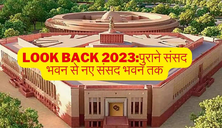 Look Back 2023