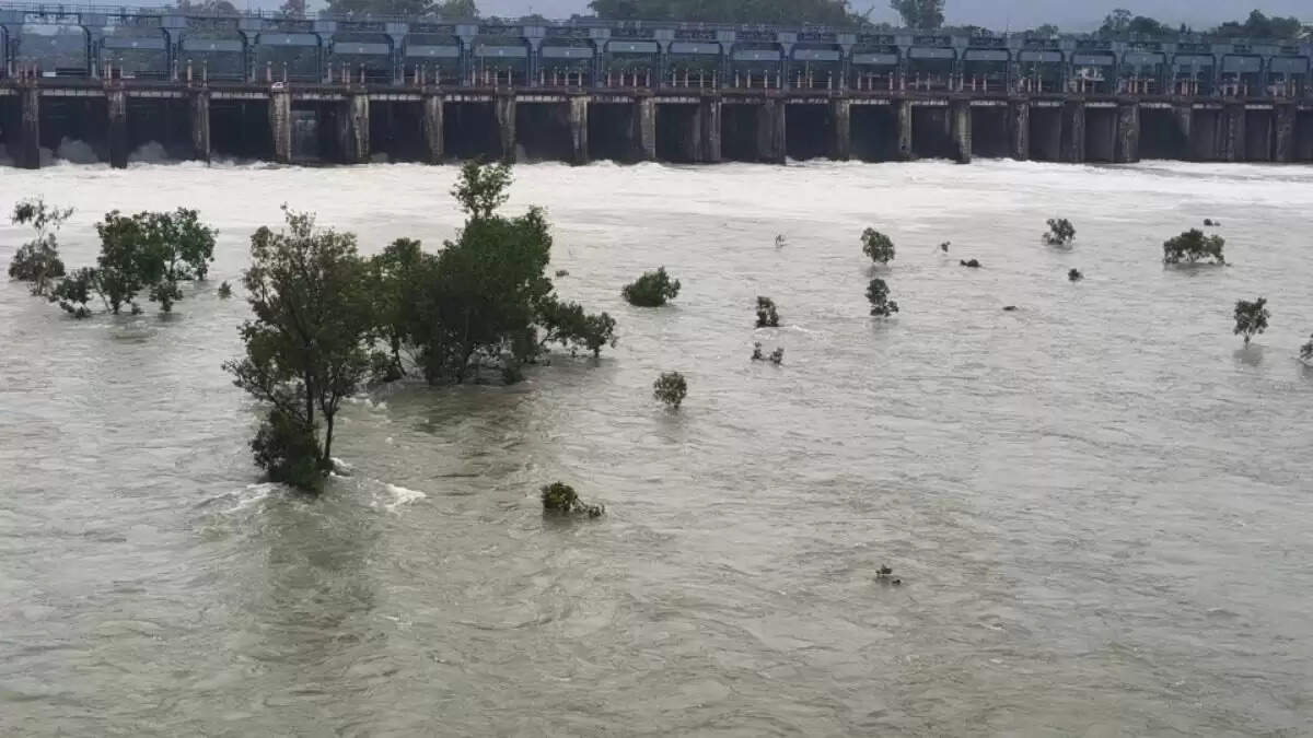 पंजाब में बाढ़ का प्रकोप: 43 मौतें, 23 जिले डूबे, लाखों प्रभावित