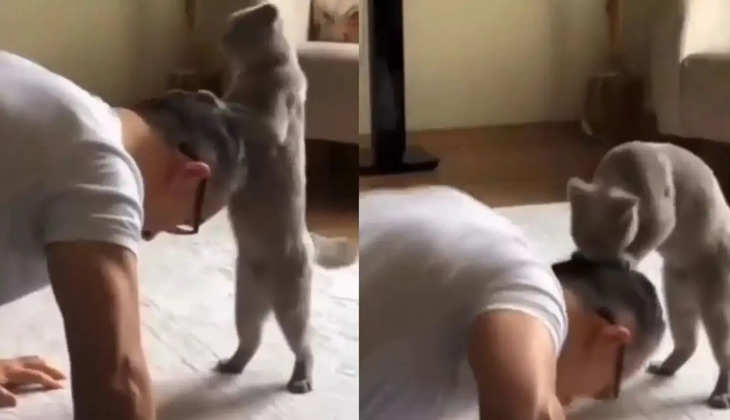 Viral Video: बिल्ली ने इस तरह कराये शख्स को Push-Ups, की रातो-रात वायरल हुआ वीडियो 